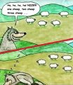 Wolf.jpg