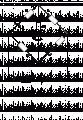 cijela.gif