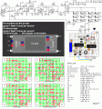 555 Flashing Police Lights 01.GIF