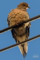 Y5D_8495.jpg