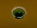 drop IMG_2396r.jpg