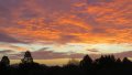 IMG_0327a.jpg