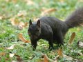 c IMG_8540.jpg