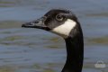 Y7D_4876.jpg Y7D_4876.jpg