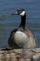 Y7D_4881.jpg Y7D_4881.jpg