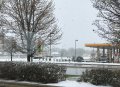 IMG_1272.jpg