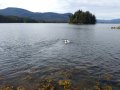 20190518_172605.jpg