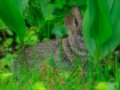 Y7D_5257.jpg Y7D_5257.jpg