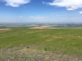 pendleton.png