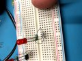 Breadboard 1.jpg
