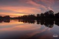 Y5D_5954.jpg