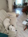 20190709_180804.jpg