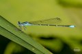 Y5D_6489.jpg