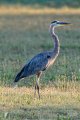 Y5D_6906.jpg