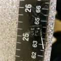 20190811_093717.jpg