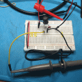 IMG_0509.gif