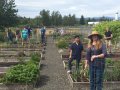 microchip-employees-set-up-the-microchip-community-garden-at-our-gresham.jpg