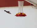 20190830_105901.gif