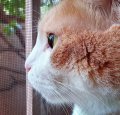 b2c71009-b6e2-4e86-a386-0f93e3a0c9a4.jpg