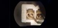 6-Pin-20191107_145132.jpg