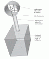 rotation detection.gif