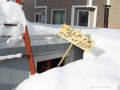 snow.jpg