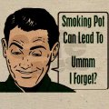 774565201-Funny-Smoking-15.jpg