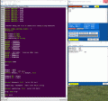 AAA 215 18.06.gif