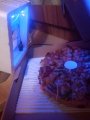 piza4.jpeg piza4.jpeg