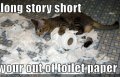 outoftoiletpaper1.jpg