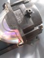 Bulb 1a.jpg