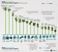 ecommerce-covid-19-sales.jpg