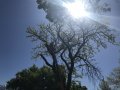 FC35831A-D31E-4ADD-A9CE-029253E64D78.jpeg