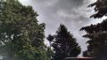 IMG_20200522_124010756_HDR.jpg