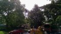 IMG_20200522_090937049.jpg