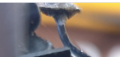 1590918939156.png