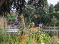 IMG_20200619_160519.jpg