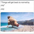 July.png