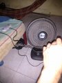 IMG_20200704_082334.jpg