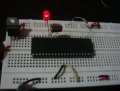 DSC01333.jpg