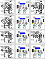 Transfer Sheet.GIF