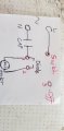 20200718_124848.jpg
