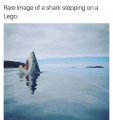 85543DE7-B7B3-4006-9B91-DDE8E23841ED.jpeg