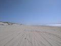 IMG_20200726_151911.jpg