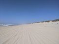 IMG_20200726_151905.jpg