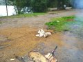 20200805_160258.jpg 20200805_160258.jpg