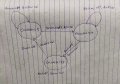 IMG_20200812_163748.jpg