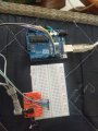 IMG_20200908_120501.jpg