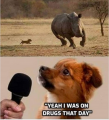 1600957035622.png
