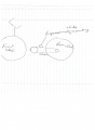 Scan1_20200925.png